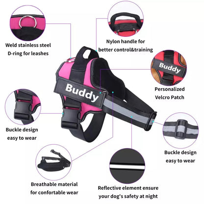 Buddy GoDog Pro