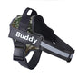 Buddy GoDog Pro