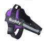 Buddy GoDog Pro