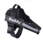 Buddy GoDog Pro